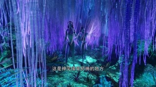 男主和女主走在奇幻过道里 画面美如画