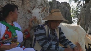 放羊也有如此多的乐趣 夫妇两人无意中发现了这个惊喜