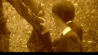 一段纏綿悱惻的故事
