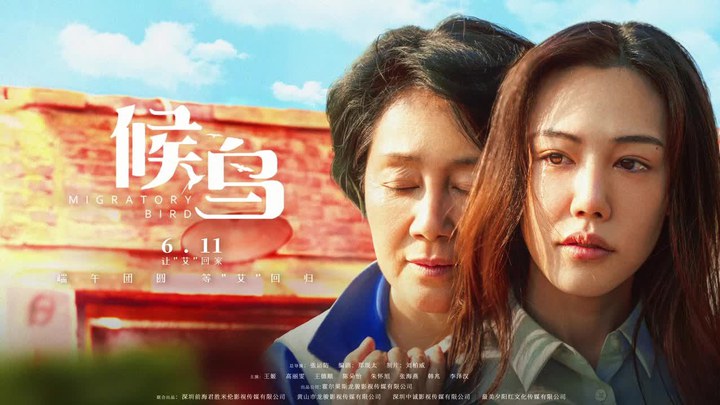 候鳥(niǎo) 預(yù)告片2 (中文字幕)