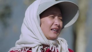 女人們在棉花地里唱歌摘花