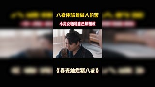 八戒体验到做人的苦，其实做猪也挺不错的 #春光灿烂猪八戒