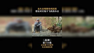#战神 龙大谷观察母鸡回窝，想出对付鬼子飞机的办法 #快手娱乐星熠计划 #我在快手追好剧
