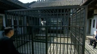 佟大為黃圣依坎坷愛戀