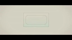 观鸟大年 片段之Audubon