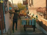 《城市游戏》窦骁韩国首尔酷跑 挑战无极限