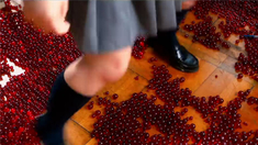 誠如神之所說 預告片