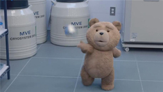 泰迪熊2 预告片1