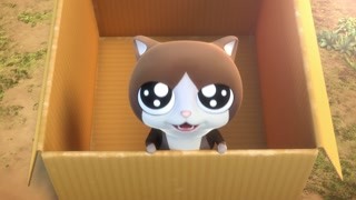 欺负弱小是不行的 帅气老狗收养小猫