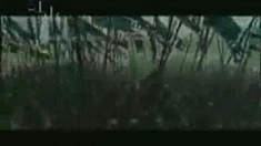 江山美人 劇場版預告片1