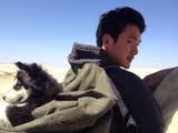 《后會(huì)無(wú)期》 之 露富者的杯具