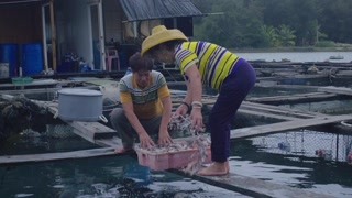祖輩傳承的武林秘籍只是海上漂   陸地的技藝靠后人自己練