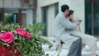 賈乃亮王鷗博弈人生