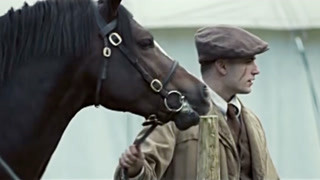 邮递员为何要枪杀赛马