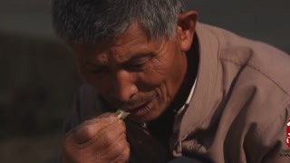 棕树里面还有这样的好东西 你藏得够深的啊！