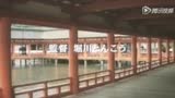 《千年之恋之源氏物语》预告片