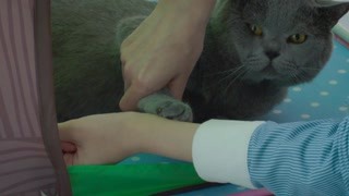 費盡周折追尋真相