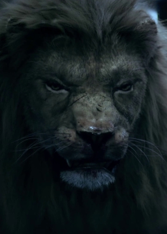 《狂暴凶狮》曝终极预告 人狮对峙上演生死对决