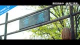 预告片_08