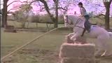 我心乘風(fēng) Breaking Free (1995)