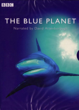 《蓝色星球第一季》全集-电视剧