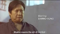 武術(shù)之少年行 預(yù)告片2