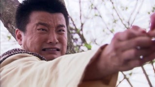《九丹》风度翩翩赵锦焘,敢爱敢恨好少年!