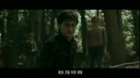 哈利波特与死亡圣器下(中文版魂器揭秘)
