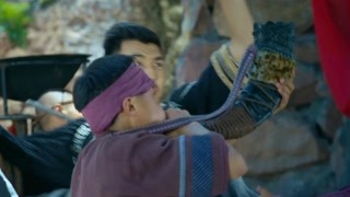 蒲巴甲以一敵十