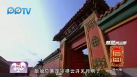后宮之精彩看點第40集1