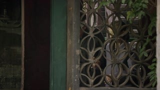 李晨王晓晨时代风貌