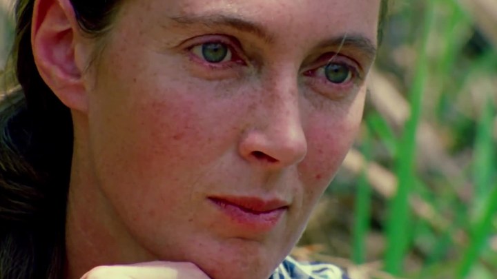 珍·古道尔的传奇一生 预告片4