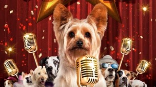 《萌犬好声音》定档324