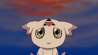 好运可不会眷顾傻瓜 有梦想的人才能拥有自创数码宝贝