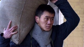 關于知青的故事