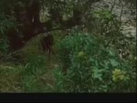瑤山剿匪記-片花