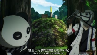 馳騁在賽場的熊貓與馬 可謂是野獸的戰(zhàn)場
