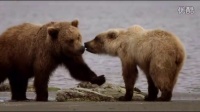 《熊世界》全新预告片