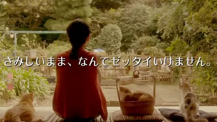 租赁猫 日本预告片3