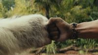 《狂暴巨獸》“幽默巨猩”片段 大塊頭有大演技