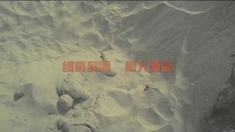 先遣連 預告片