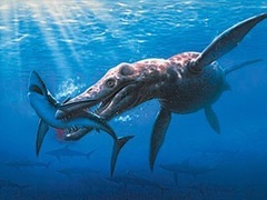 《经典传奇》-江西卫视-综艺节目全集-在线观看