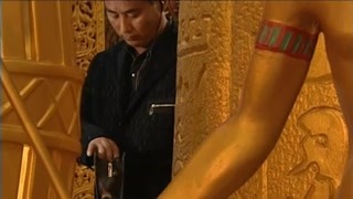王挺卧底犯罪团伙