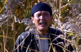 义勇义勇-17：赵荣庭偷偷探望赵来弟