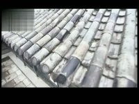 天生无才第31集抢先看01