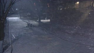 關于知青的故事
