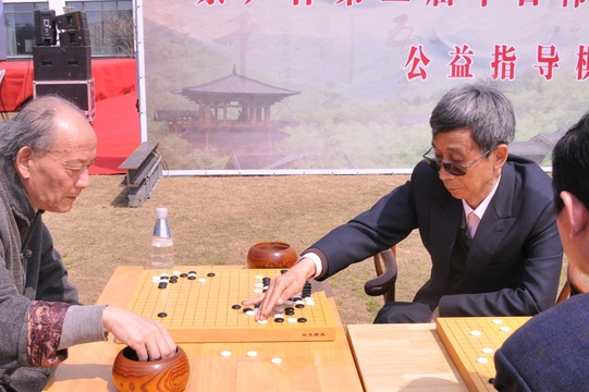 高清-开幕式后公益指导棋 棋迷积极参与(4) 第4页