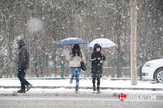 中国牡丹之都山东菏泽迎2018年第一场雪 第1页