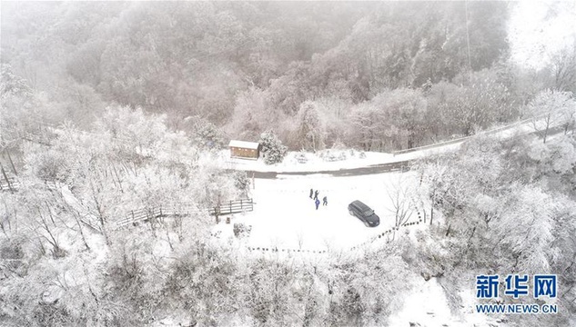 高清:玉树琼枝秦岭紫柏山(4) 第4页