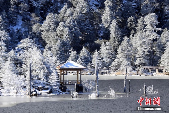 四川螺髻山迎来首场冬雪 宛如仙境(4) 第4页